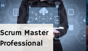 Scrum Master Professional Course