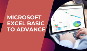 Microsoft Excel - Beginner to Advance