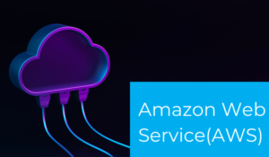 Amazon Web Service (AWS)